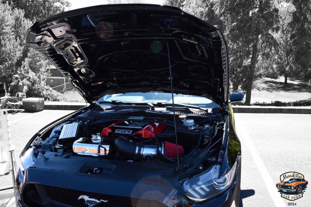 Glossy black 2015 Ford Mustang owned by Denny Lundy
